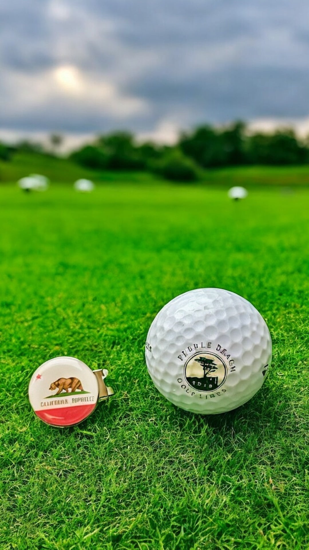 ⛳️ Magnetic Golf Marker – Show Your State (California) Pride While You Play! 🦅🌸🐻