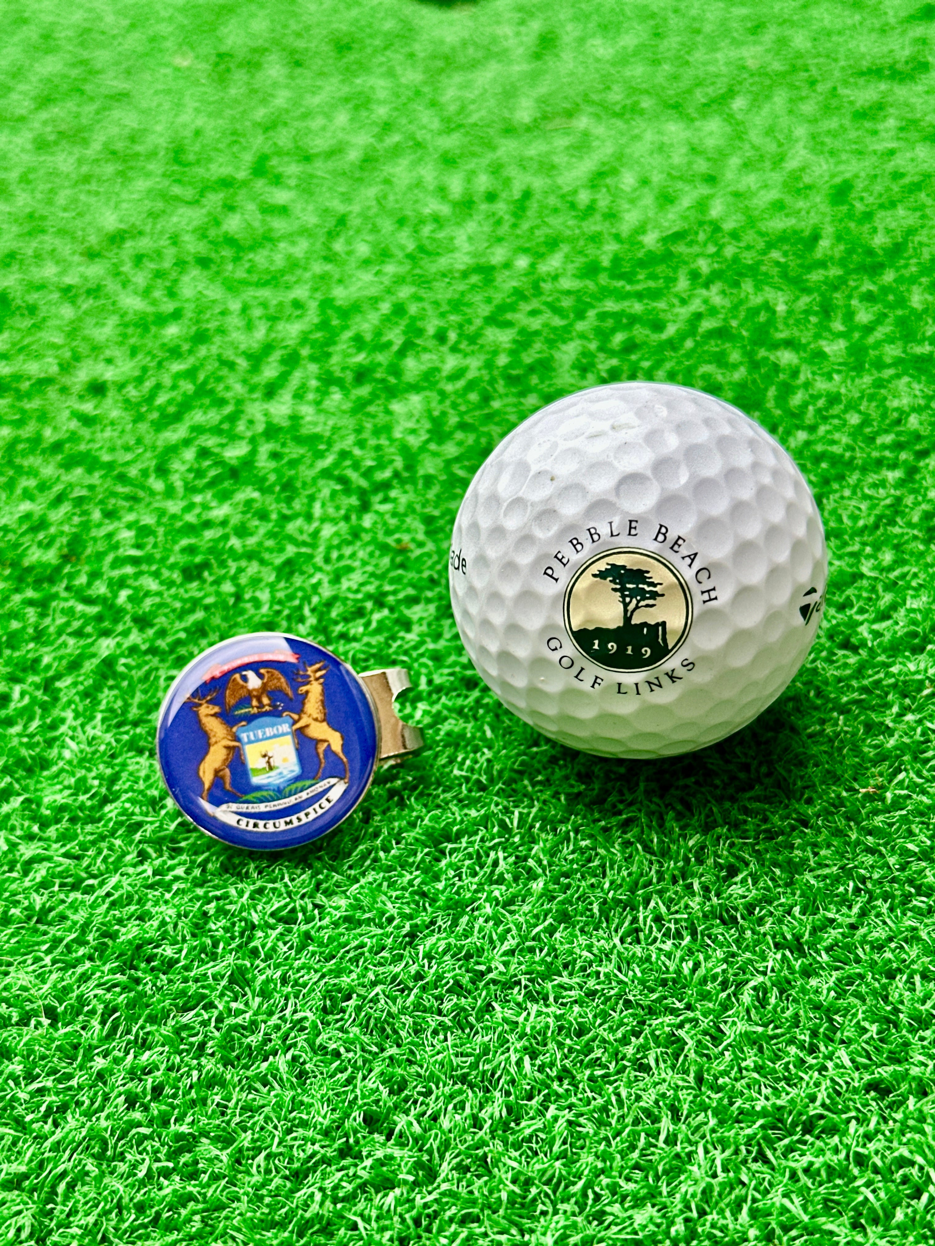 ⛳️ Magnetic Golf Marker – Show Your State (Michigan) Pride While You Play! 🦅🌸🐻