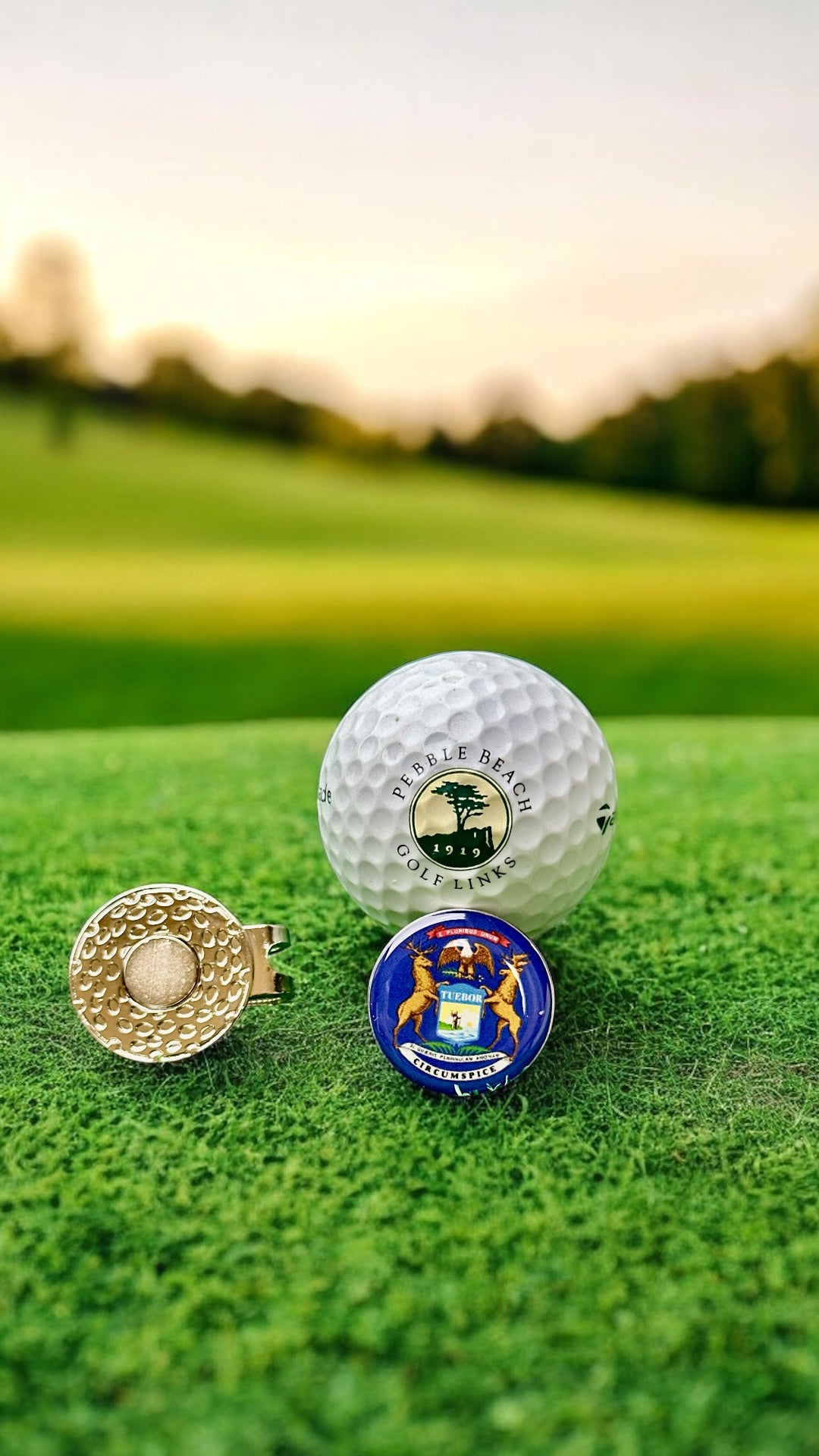 ⛳️ Magnetic Golf Marker – Show Your State (Michigan) Pride While You Play! 🦅🌸🐻