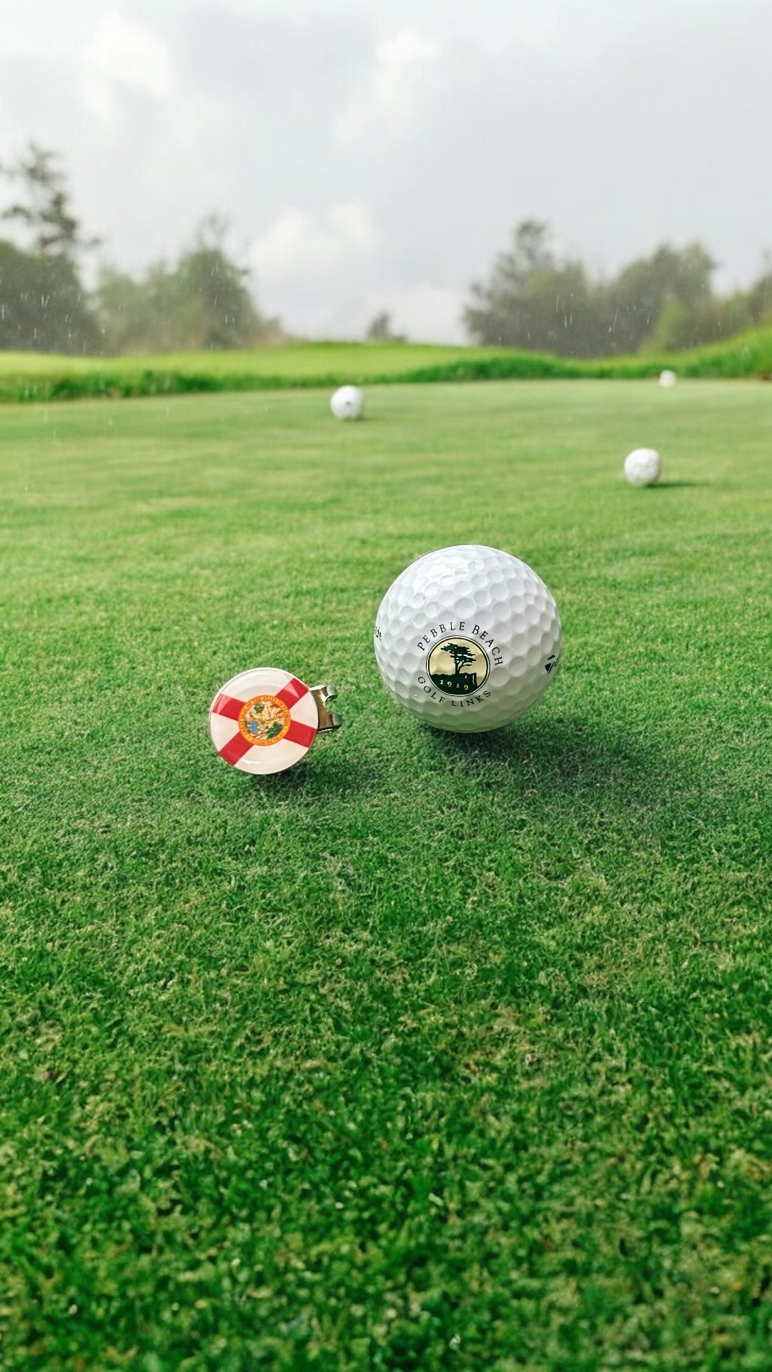 ⛳️ Magnetic Golf Marker – Show Your State (Florida) Pride While You Play! 🦅🌸🐻